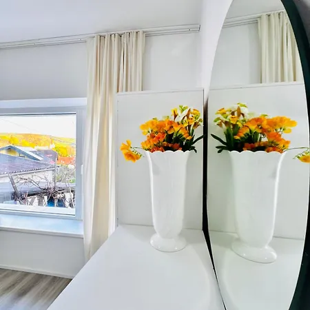 Cozy 2br & Lr With Balcony Near Museum Gugging